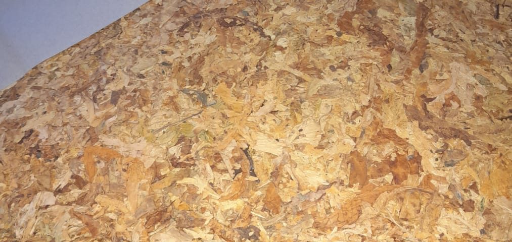 Hojas de tabaco Virginia Full Cured en tonos caoba oscuro, curadas lentamente para sabor intenso.