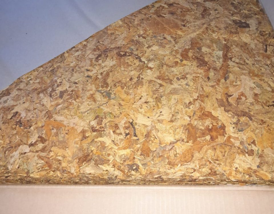 Hojas de tabaco Virginia Full Cured en tonos caoba oscuro, curadas lentamente para sabor intenso.