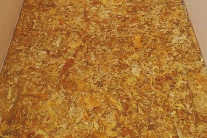 Hojas doradas de tabaco Virginia Orange Gold Leaf listas para tabaco kilo artesanal.