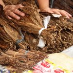 Hojas de tabaco natural conservadas en envase hermético