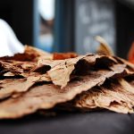 Hoja de tabaco de fronto natural curada al aire