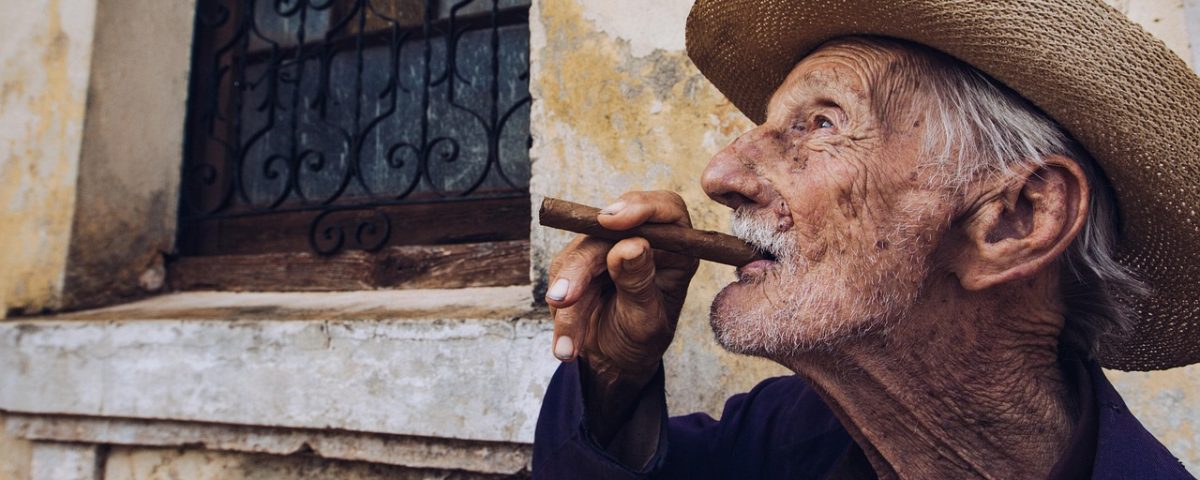 Hojas de tabaco ecológico secándose al sol en finca certificada, vista panorámica.