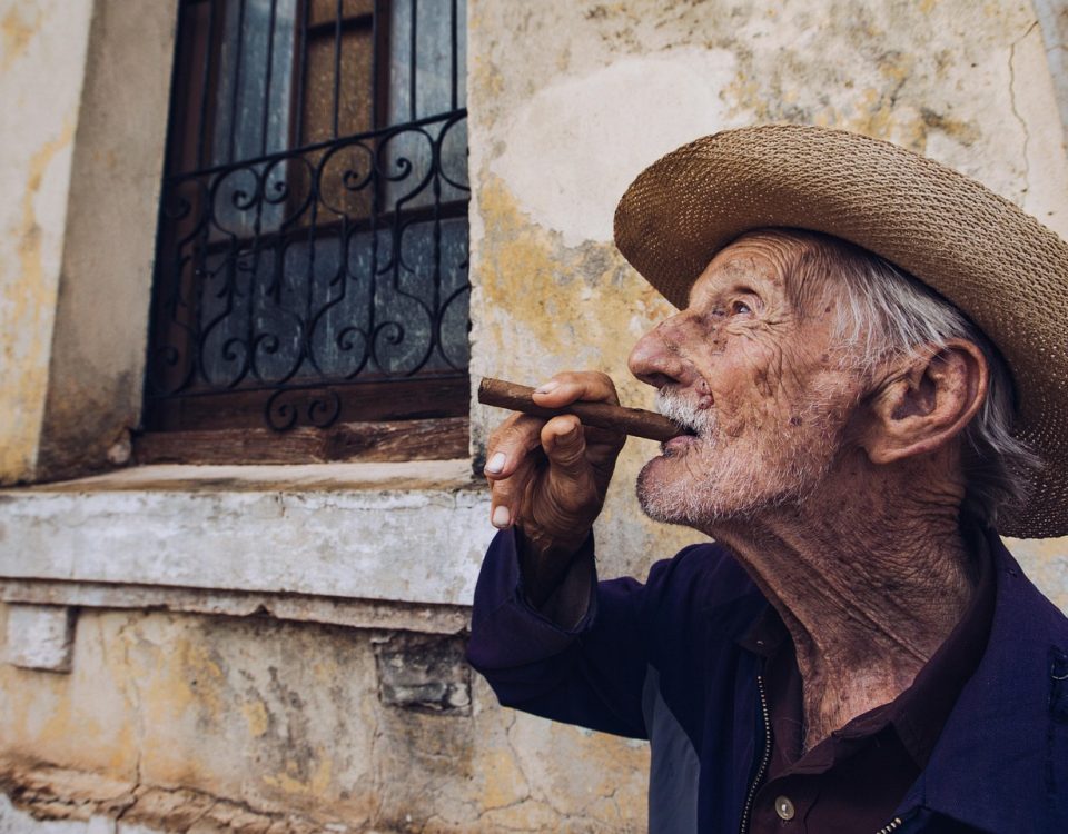 Hojas de tabaco ecológico secándose al sol en finca certificada, vista panorámica.