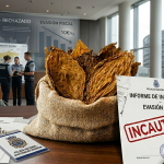 Ilustración conceptual de un gráfico financiero de 88 millones de dólares de la industria tabaquera, con hojas de tabaco natural en primer plano.