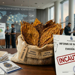 Ilustración periodística sobre la adaptación de Moldavia a las prohibiciones de la UE, mostrando un saco de hojas de tabaco natural en formato artesanal frente a mapas de regulación y documentos de control.