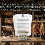 Hojas de tabaco natural y ecológico secándose de forma artesanal en un almacén tradicional.